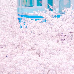 黑丝美女被肏膏潮
